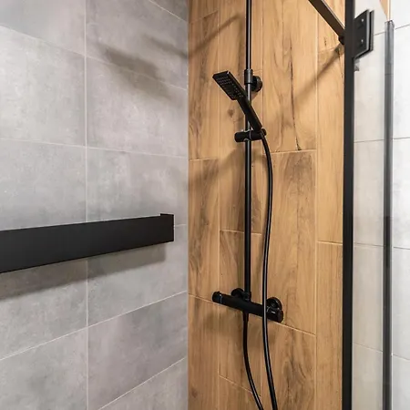 Park Slaski Modern Daire *