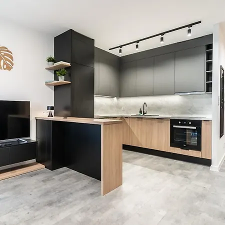 Daire Park Slaski Modern By Bookinghost